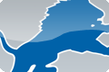 Detroit Lions