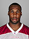 Anquan Boldin